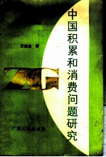 中国积累和消费问题研究