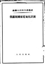 俄罗斯国家电气化计划