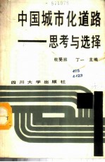 中国城市化道路 思考与选择