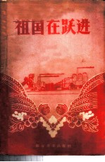 祖国在跃进