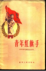 青年红旗手