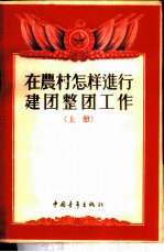 在农村怎样进行建团整团工作 上