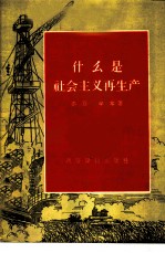 什么是社会主义再生产