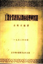 工业企业经济计划的原理与实践