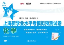 上海新学业水平考模拟预测试卷 化学