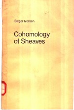Cohomology of Sheaves