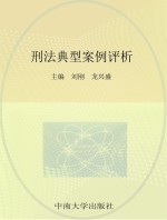 刑法典型案例评析