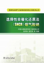 选择性非催化还原法(SNCR)烟气脱硝