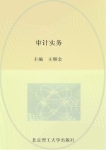 审计实务