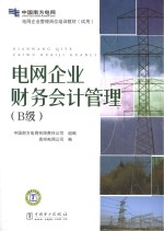 电网企业财务会计管理 B级