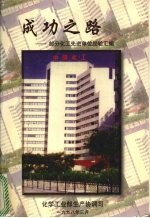 成功之路:部分化工先进单位经验汇编