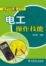 无师自通系列书 电工操作技能