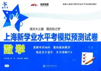 上海新学业水平考模拟预测试卷 数学