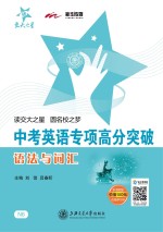 中考英语专项高分突破 语法与词汇