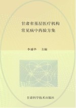 甘肃中医药建设丛书 甘肃省基层医疗机构常见病中药验方集