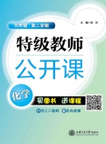 特级教师公开课 化学 九年级 第二学期
