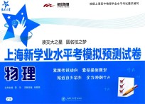 上海新学业水平考模拟预测试卷 物理