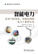 智能电力 应对气候变化,智能电网和电力工业的未来