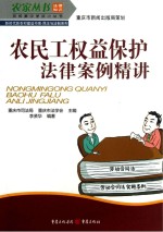 农民工权益保护法律案例精讲