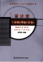 审计学 环境·理论·实务
