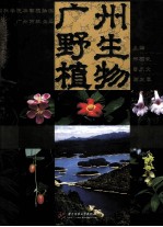 广州野生植物