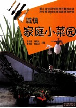 城镇家庭小菜园
