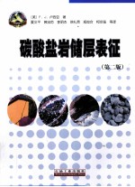 碳酸盐岩储层表征 第2版