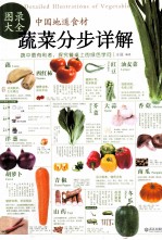中国地道食材  蔬菜分步详解图录大全