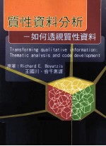 质性资料分析 如何透视质性资料