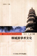 皖江文化与中国现代化丛书 桐城派学术文化