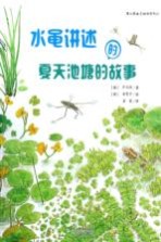 水黾讲述的夏天池塘的故事