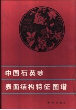 中国石英砂表面结构牲图谱