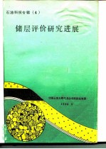 石油科技专辑 4 储层评价研究进展