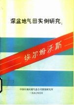 深盆地气田实例研究:埃尔姆沃斯