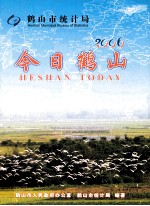 今日鹤山 2006