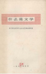 什么是文学 《文学理论常识》之一