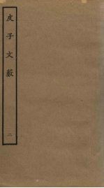 皮子文薮 2