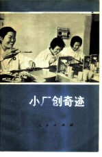 小厂创奇迹