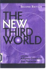 The New Third World Second Edition