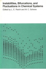 Instabilities,Bifurcations,and Fluctuations in Chemical Systems
