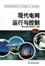 现代电网运行与控制 下