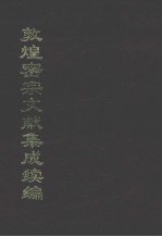 敦煌密宗文献集成续编 下
