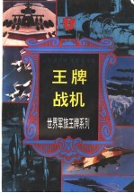 王牌战机
