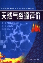 天然气资源评价
