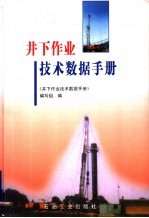 井下作业技术数据手册