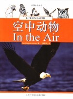 空中动物