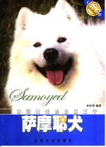 萨摩耶犬 永远微笑的北国王子