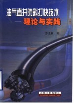 油气直井防斜打快技术 理论与实践