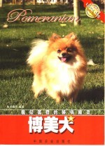 博美犬 貌似狐狸的娇俏精灵