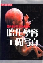 胎儿孕育38周写真